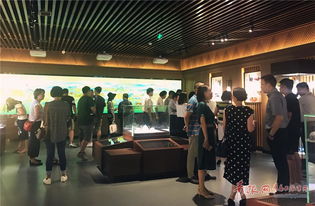 上合组织青岛峰会展览馆开放 这些细节千万别错过