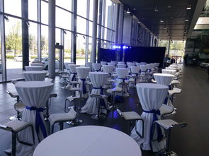 深圳专业出租会展庆典桌椅,伊姆斯桌椅沙发贵宾椅大圆桌,藤椅屏风